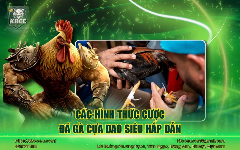 Đá Gà Cựa Dao K8CC - Sảnh cược đá gà kịch tính & hấp dẫn 4 Các hình thức cược đá gà cựa dao siêu hấp dẫn