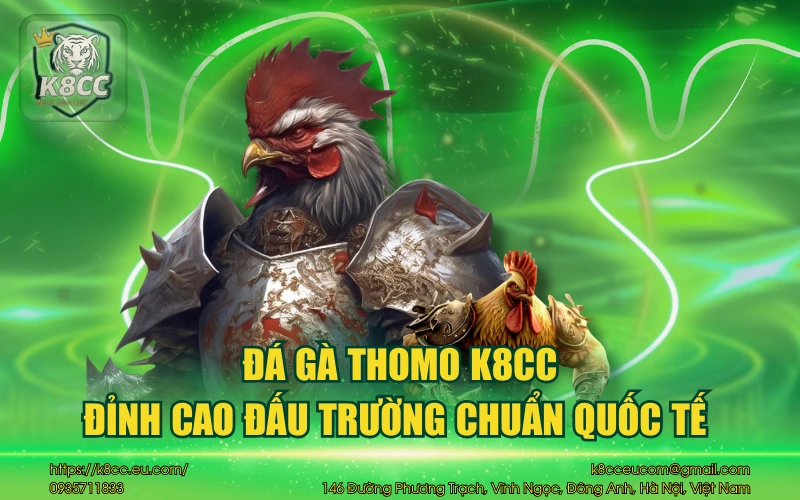Đá Gà Thomo K8CC - Đỉnh cao đấu trường chuẩn quốc tế 1 Đá gà Thomo K8CC - Đỉnh cao đấu trường chuẩn quốc tế