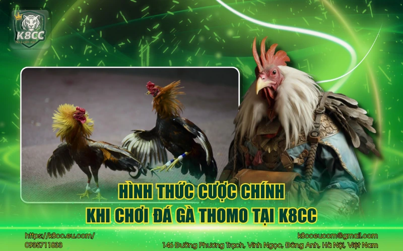 Đá Gà Thomo K8CC - Đỉnh cao đấu trường chuẩn quốc tế 4 Hình thức cược chính khi chơi đá gà Thomo tại K8CC